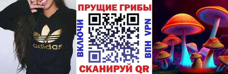 Галлюциногенные грибы GOLDEN TEACHER  Купить где  Калининск 
