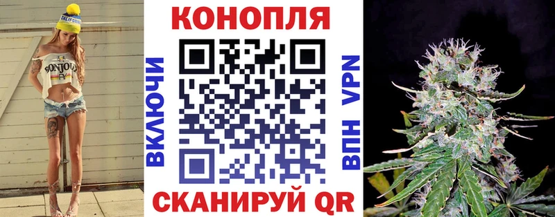 Купить где  Калининск  Бошки марихуана VHQ 